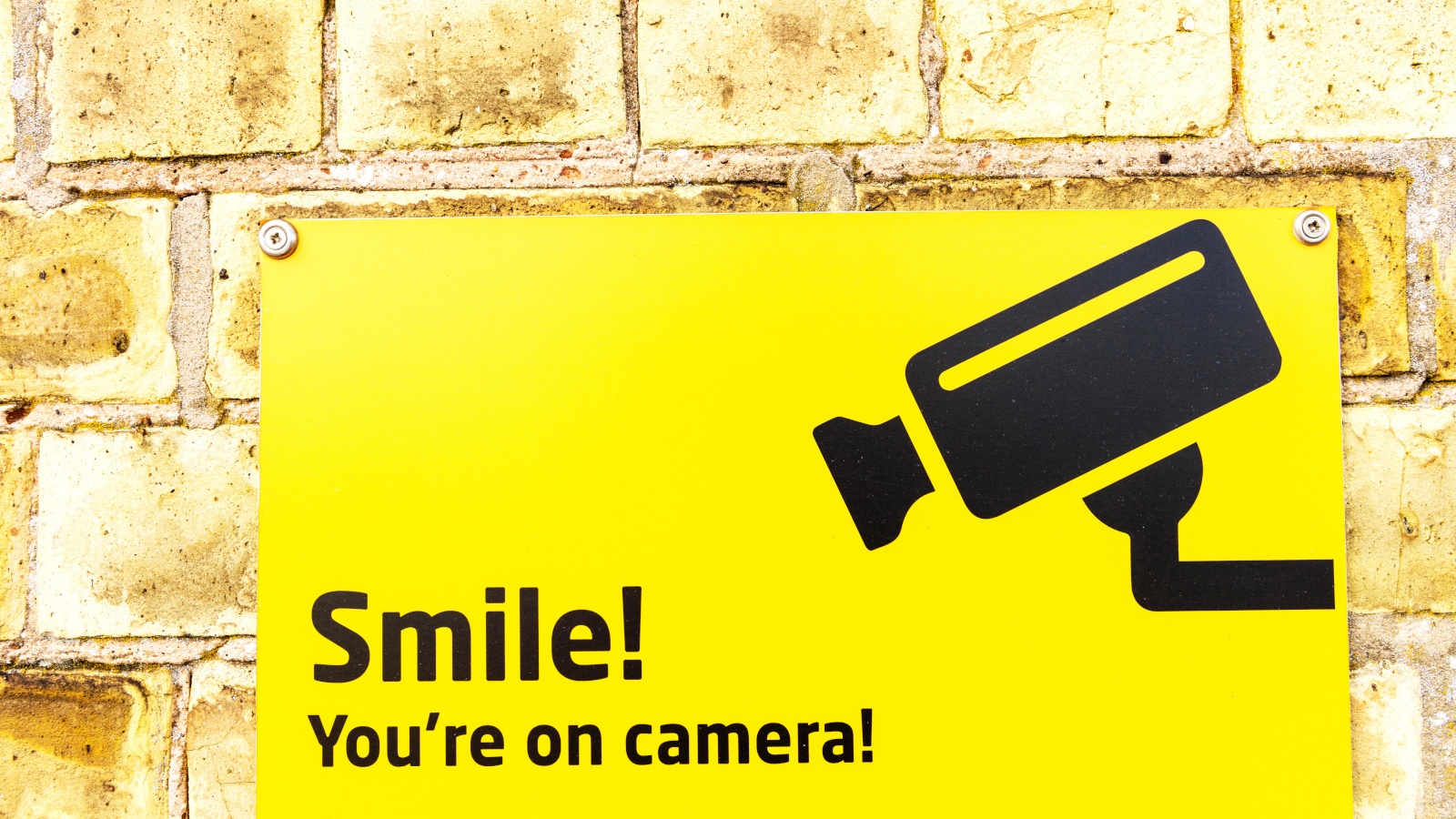 Big Brother Betting Offers 2024 Latest Big Brother Odds Nathan New