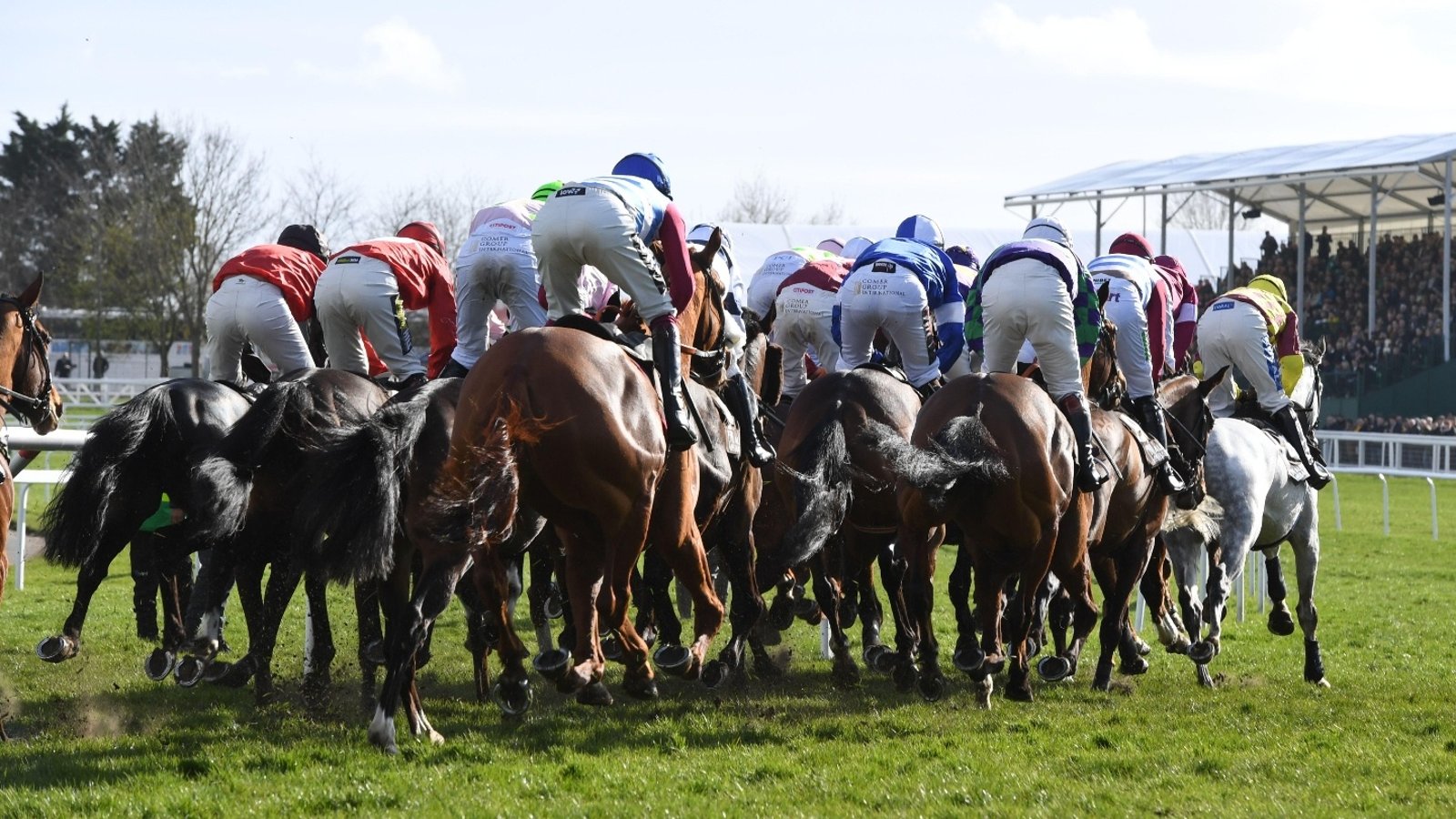 National Hunt Trainers’ Championship 2024 Betting Odds Mullins' Title