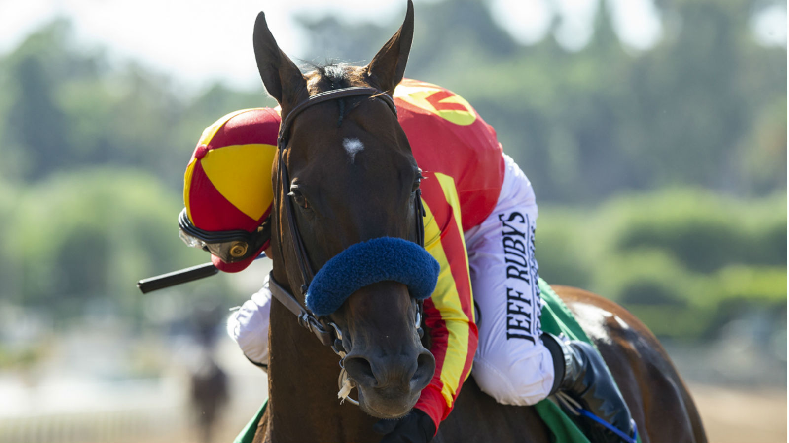 Horse Betting 101 A Definitive Guide to Horse Racing Basics🙏