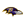 Baltimore Ravens