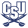 Charleston Southern