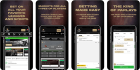 Top 10 Cricket Betting Apps for Android and iOS (December 2023)