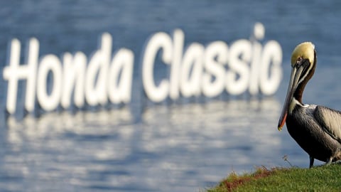 2022 Honda Classic Odds, Picks & Betting Predictions