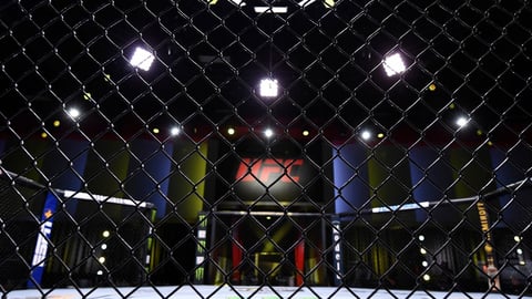 UFC Fight Night Brunson vs Holland: Odds, Tips & Predictions