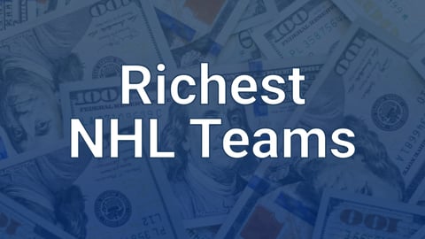 Revealed: The NHL Rich List