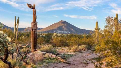 Arizona Early Registration for Sports Betting Starts Saturday
