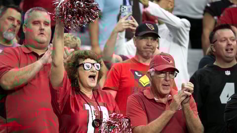 Sports Betting Licenses Issued in Arizona; Lawsuit Filed