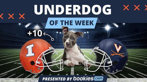 College Football Dog of the Week: Illinois & ‘Hamburger’
