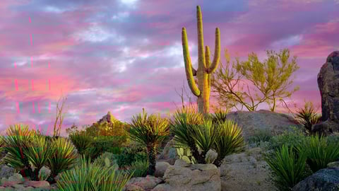 Arizona Tribe Files Amended Lawsuit To Block Sports Betting