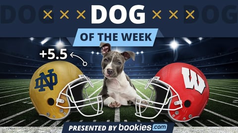 College Football Dog Of The Week: Notre Dame & 'Billie Jean'