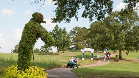 Sanderson Farms Championship Odds, Betting Tips & Picks