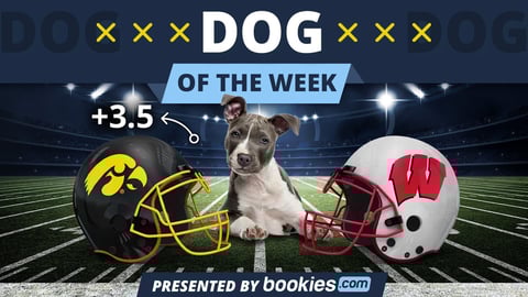College Football Dog Of The Week: Iowa & 'Tanner'