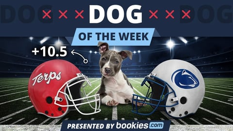 College Football Dog Of The Week: Maryland & 'Jerry'