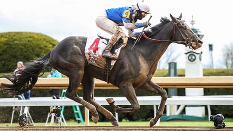 Kentucky Derby 2022 Odds, Best Bets & Predictions