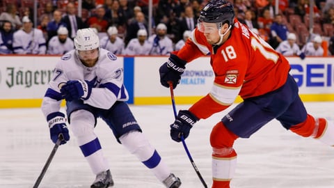 Lightning vs Panthers Odds, NHL Playoff Picks & Predictions