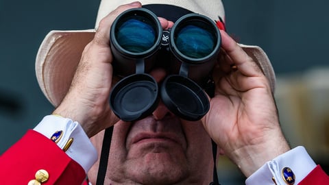 How Much Would You Make Betting On Belmont Stakes Favorite Every Year?