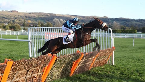 Back Thomas Darby at Ascot on Friday