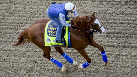 Improbable New Preakness Favorite After Major Odds Shakeup