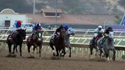Preakness Stakes Betting Tips, Odds & Horses You Should Back