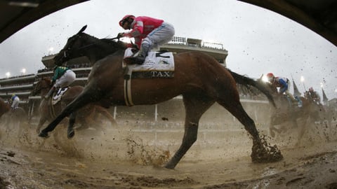 3 Belmont Stakes 2019 Long Shots You Should Be Betting On