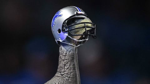 Thanksgiving NFL Betting Guide For Travelers Across The US
