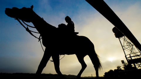 Handicapping Belmont Stakes 2020 Is A Unique Proposition