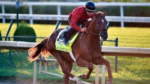 2020 Kentucky Derby: Complete Field, Odds & Post Position