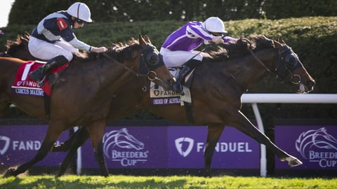 FanDuel Details Illinois Sports Betting & Horse Racing Plans