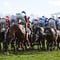 National Hunt Trainers’ Championship 2024 Betting Odds