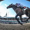 2024 Kentucky Derby: Ultimate Betting Guide, Key Facts