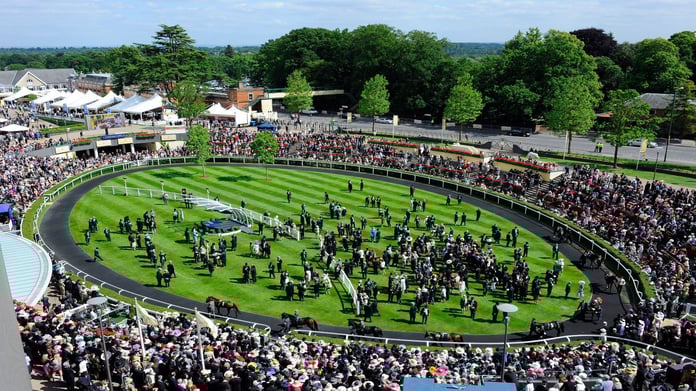 Royal Ascot Free Bet Offer: Get 40/1 on Field Of Gold to Win St James's Palace Stakes