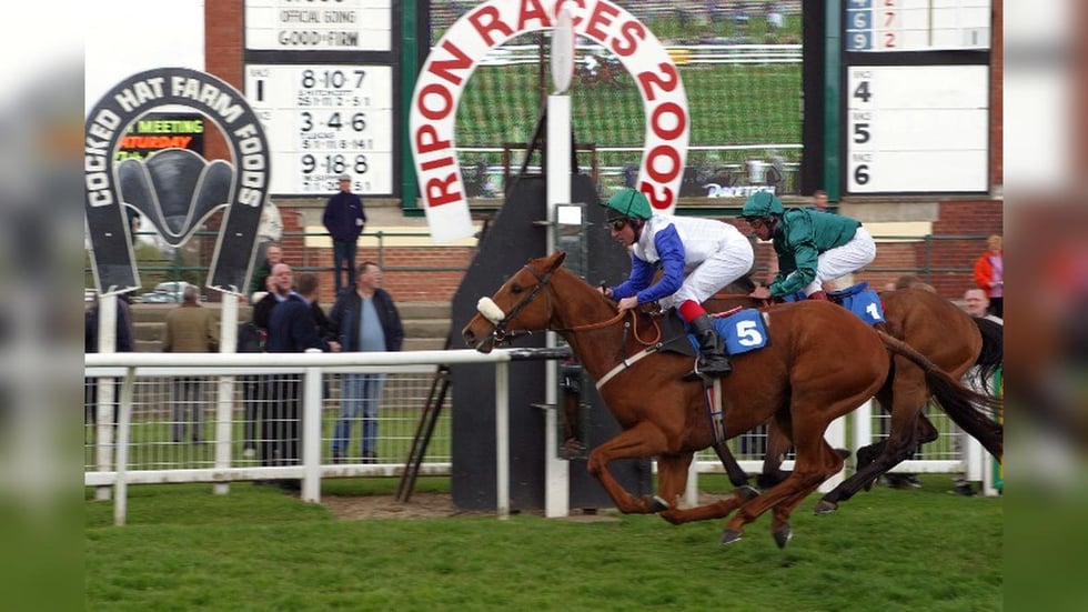 Tote Scoop 6 Races and Expert Betting Tips March 2025